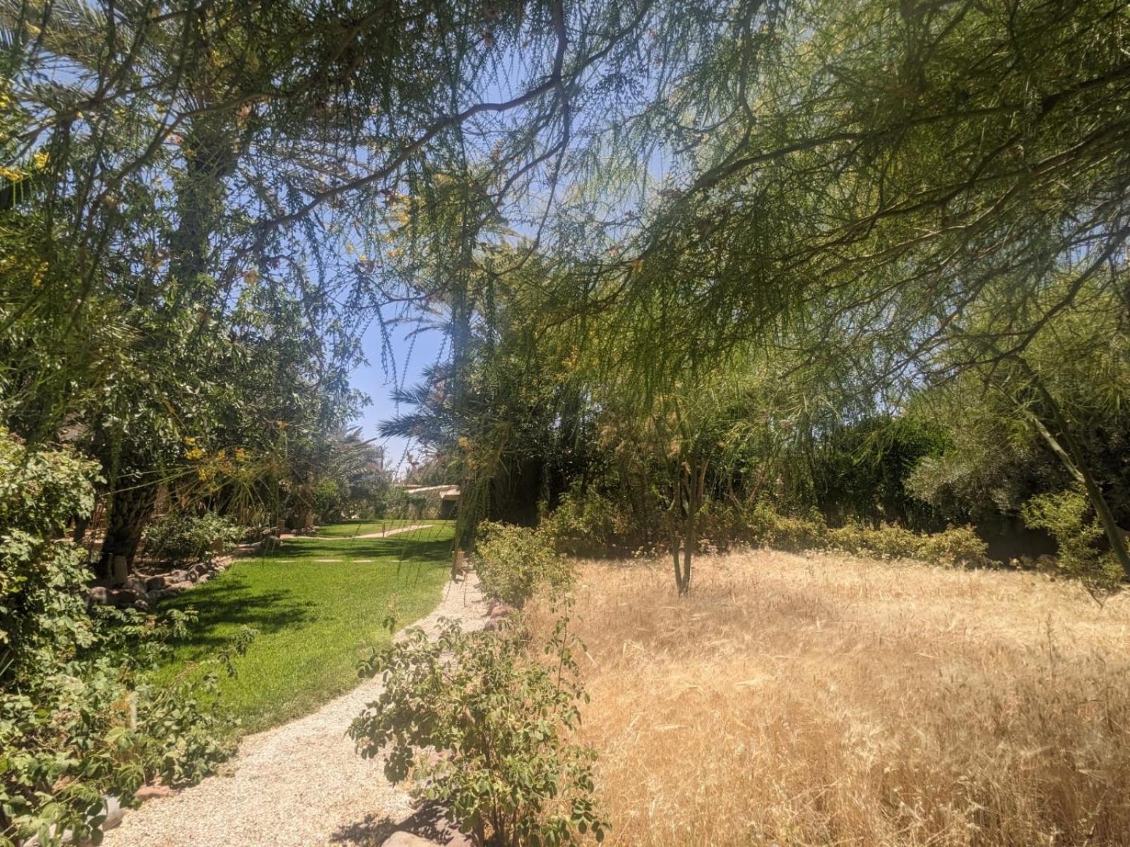 L'Ma Lodge Skoura Bagian luar foto