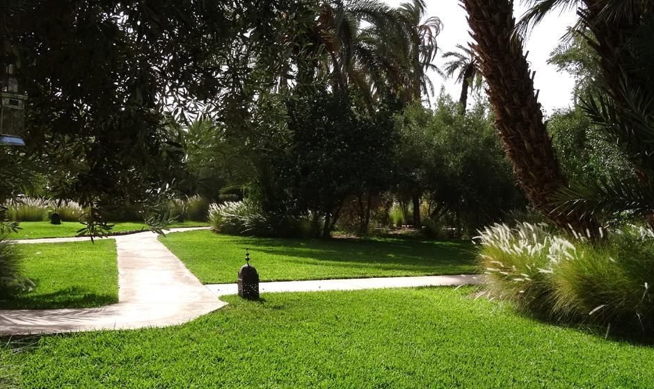L'Ma Lodge Skoura Bagian luar foto