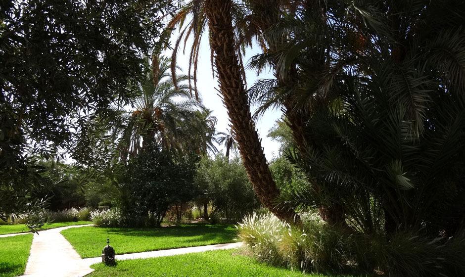 L'Ma Lodge Skoura Bagian luar foto