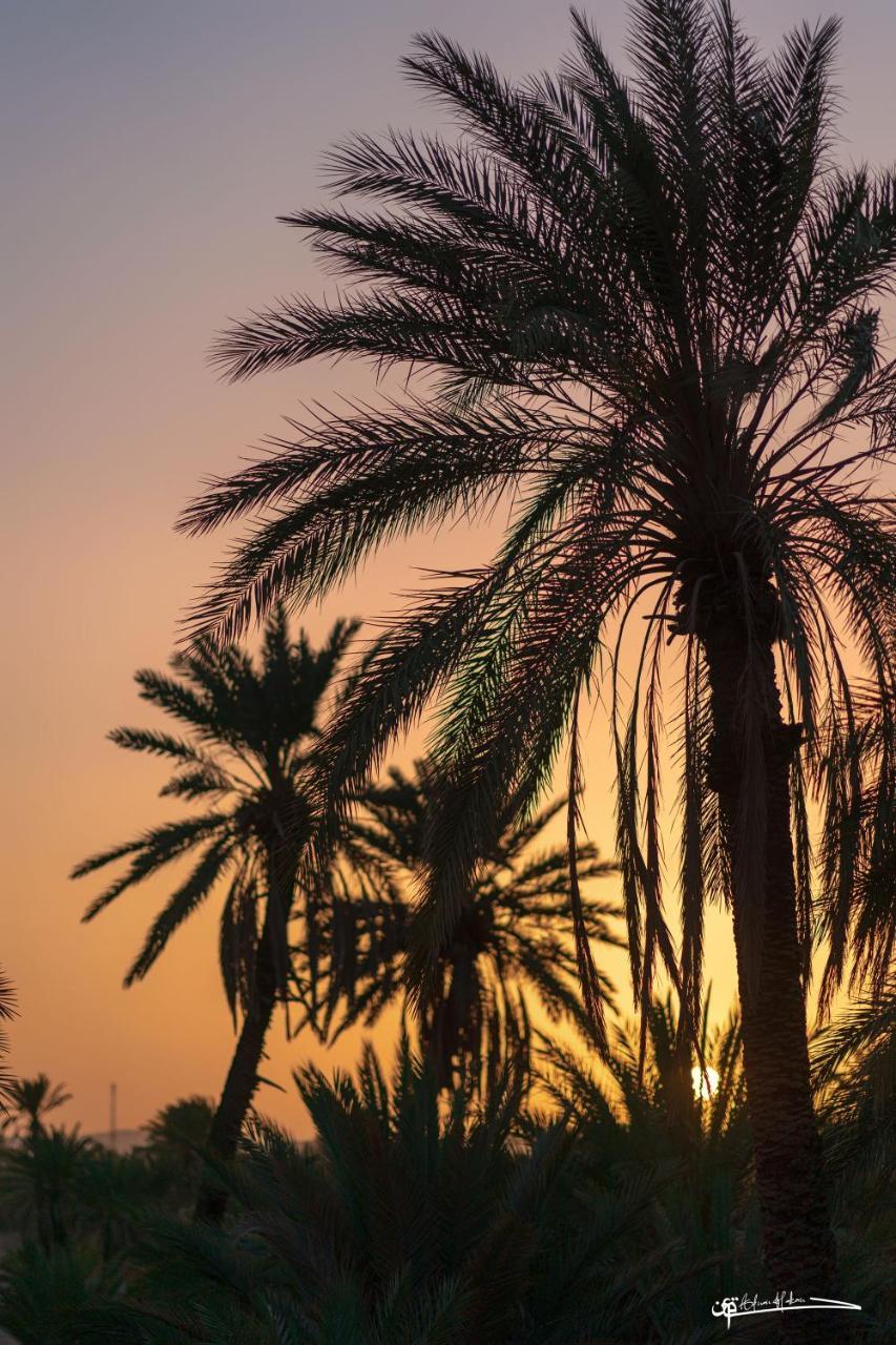 L'Ma Lodge Skoura Bagian luar foto